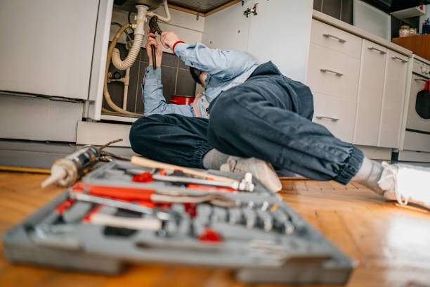 Best Faucet Repair  in Goldstream, AK