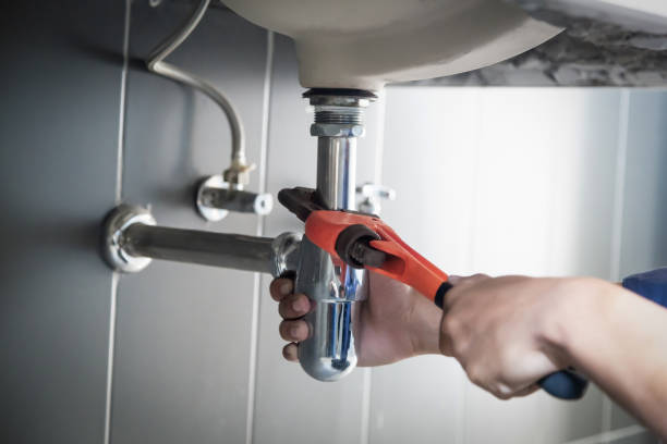 Best Plumbing Services Near Me  in Goldstream, AK